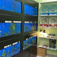 Зоомагазин Природа на улице Юности Фото 2 на проекте VetSpravka.ru Зоомагазин Природа на улице Юности Фото 2 на проекте VetSpravka.ru